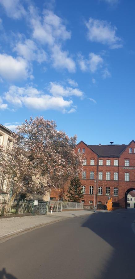 Spree Hotel In Der Altstadt Lübbenau Zewnętrze zdjęcie